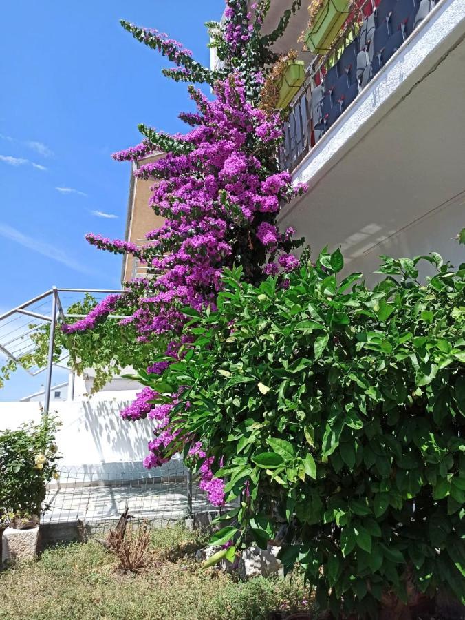 New! Apartment Terrazen Split - Free Car Parking Extérieur photo